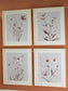 Ashley Express - Chettings Wall Art Set (4/CN)